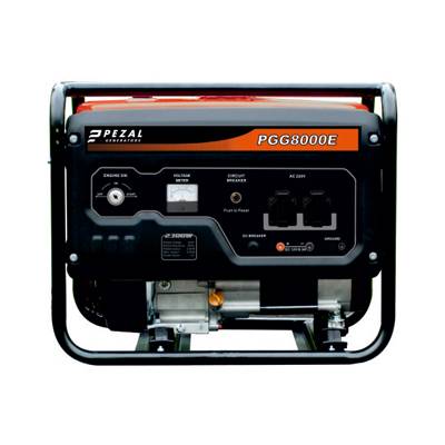 PGG8000E
